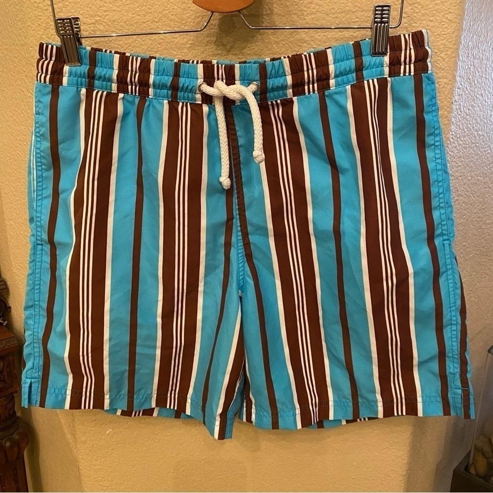 TAILORBYRD Men Blue Brown Striped Swim Trunk Shorts Size Medium